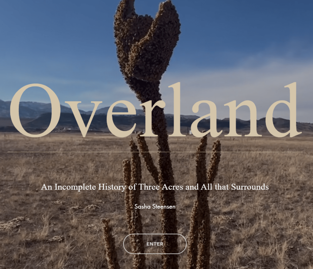 cover of the project "overland" by sasha steensen